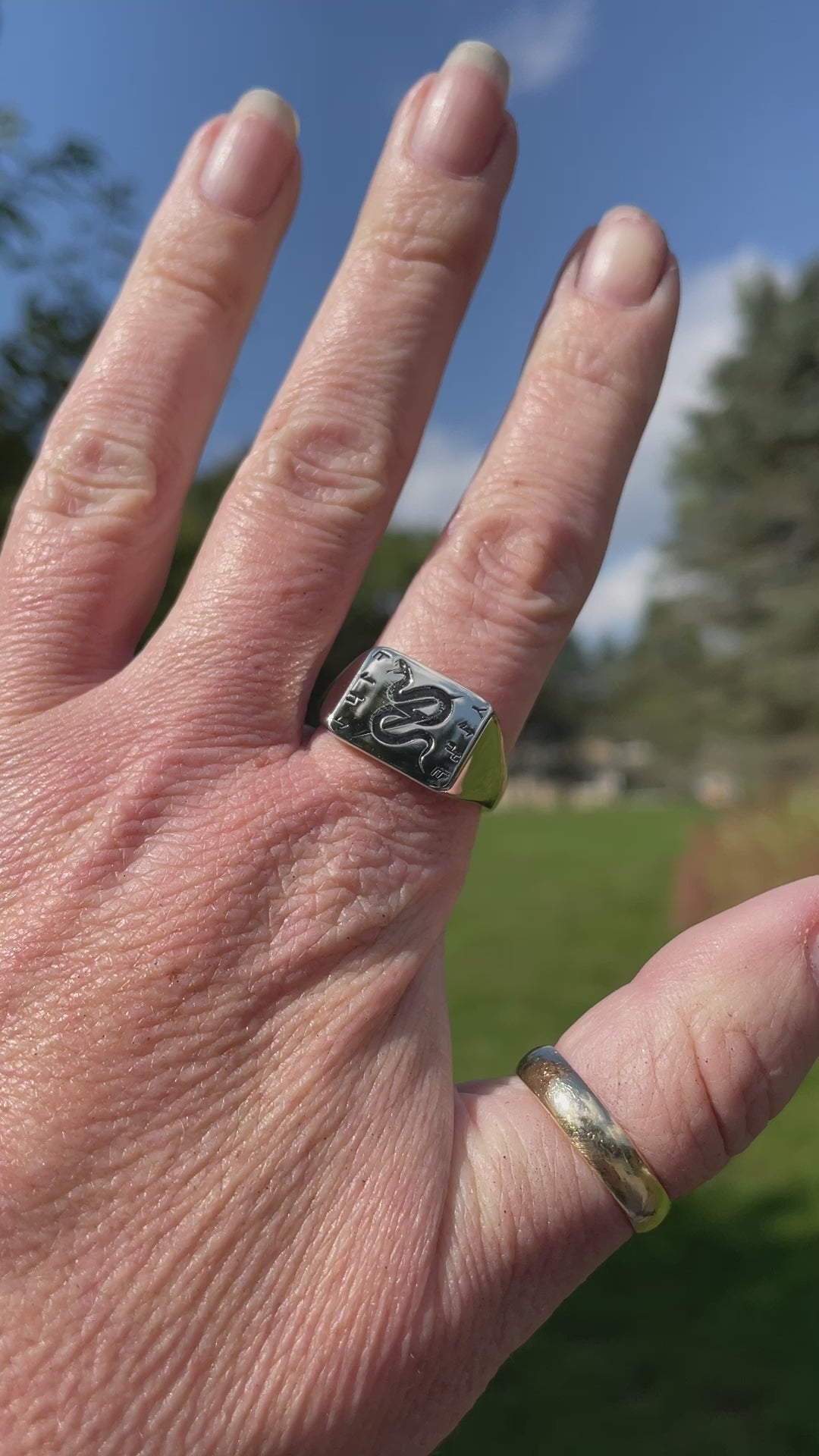 video of the signet ring