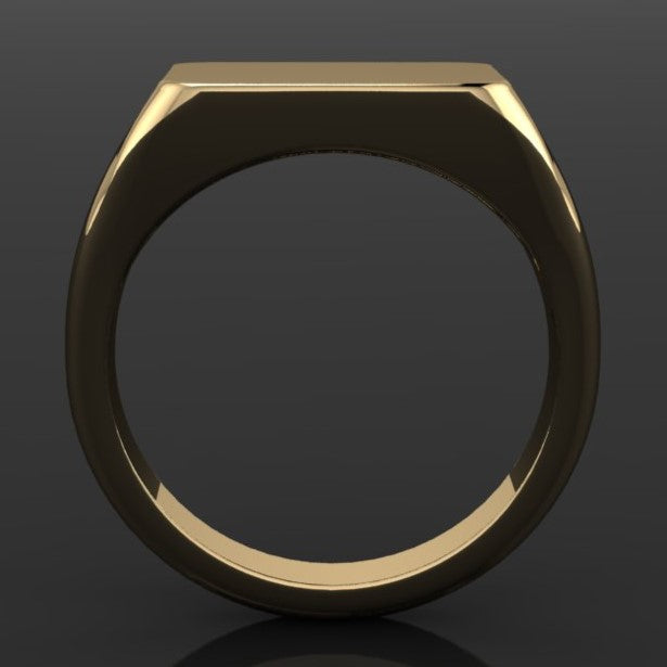 Men's signet ring - profile view